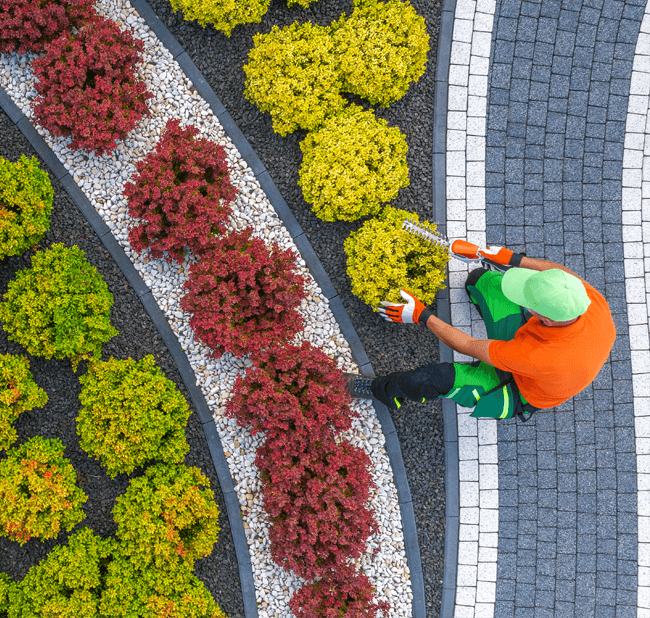 Gartenpflege